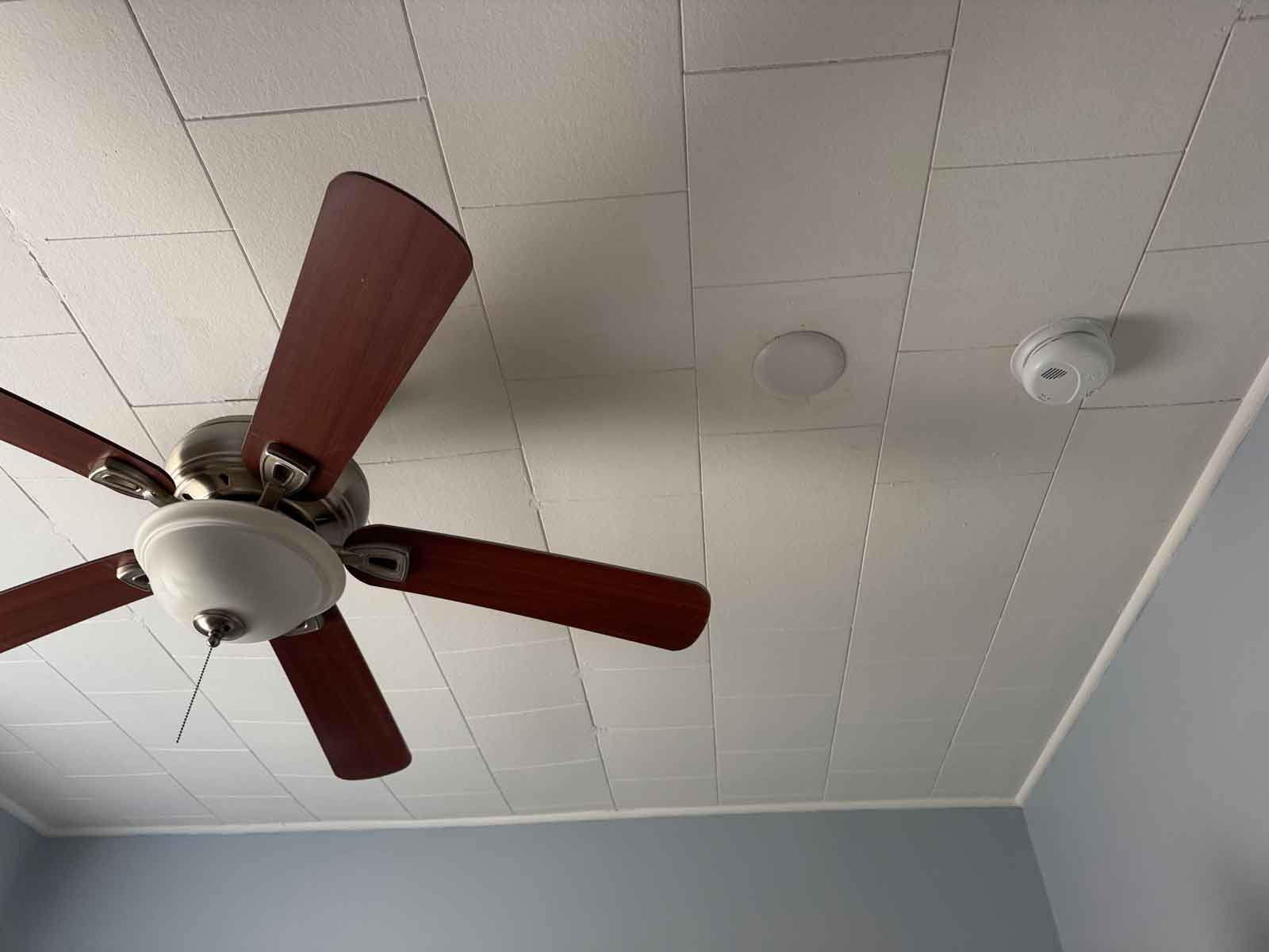 newly installed ceiling fan and smoke detector